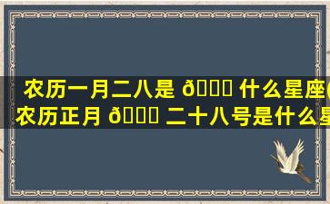 农历一月二八是 🐞 什么星座(农历正月 🐞 二十八号是什么星座)